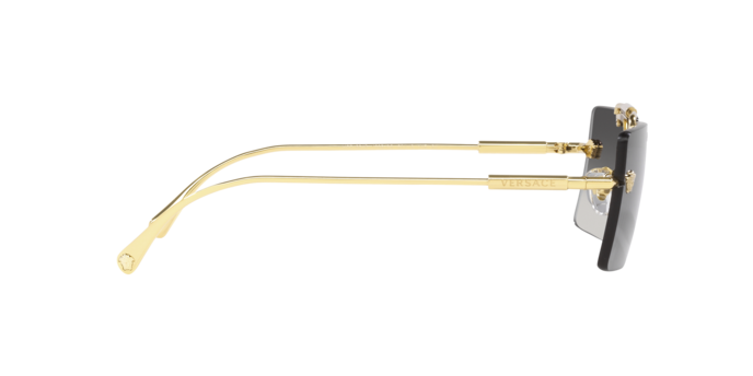 VERSACE VE2245 Sunglass