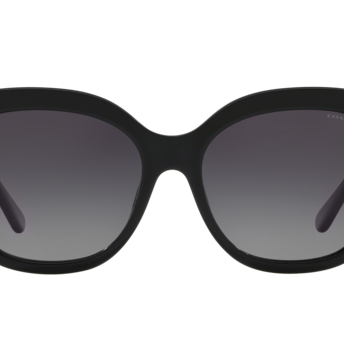 COACH HC8264 Sunglass online in India – stylish designer eyewear