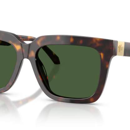 VERSACE VE4498 Sunglass