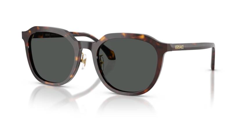 VERSACE VE4493D Sunglass