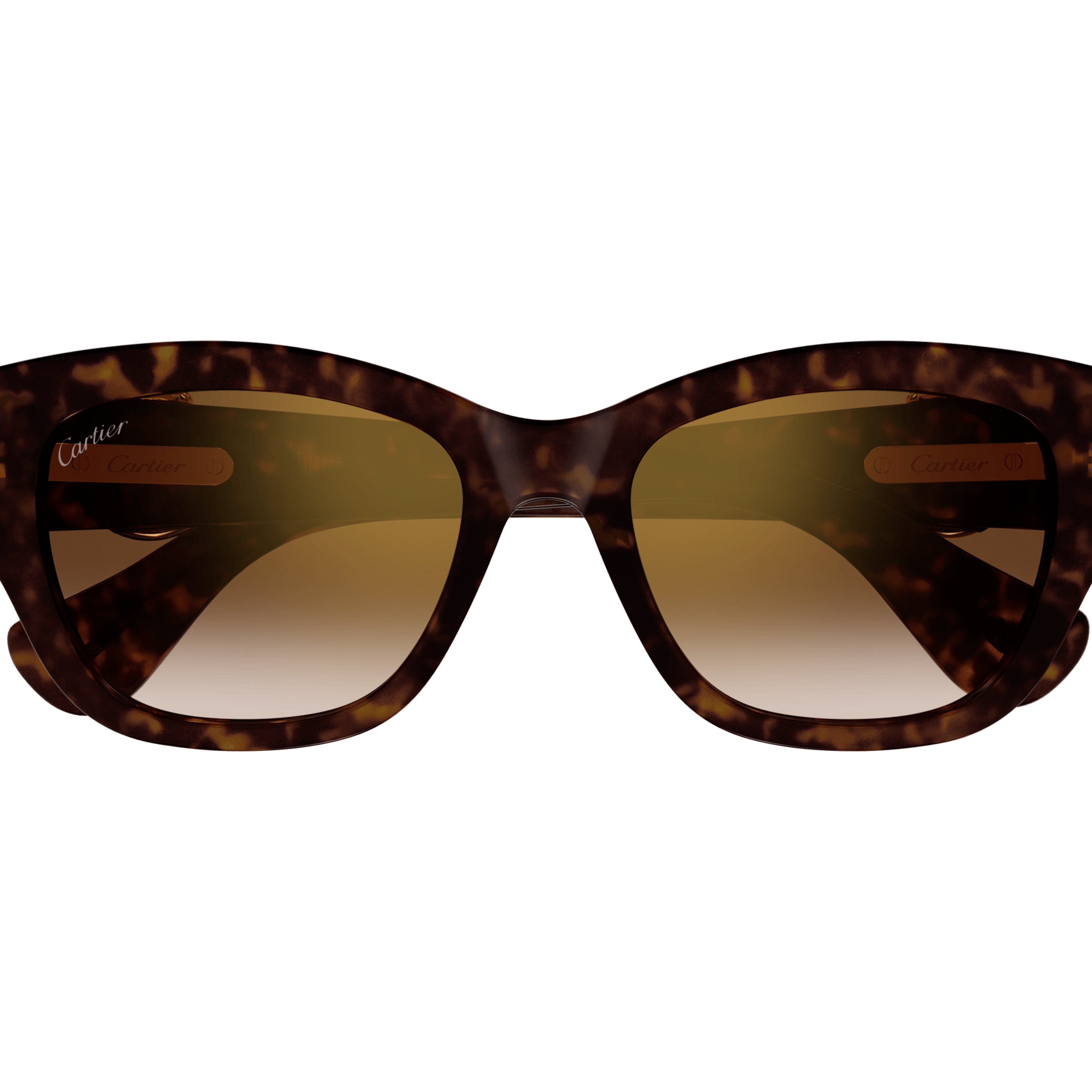 CARTIER CT0548SA Sunglass | High end optical frames | SpecsBunker India | branded eyeglasses in India