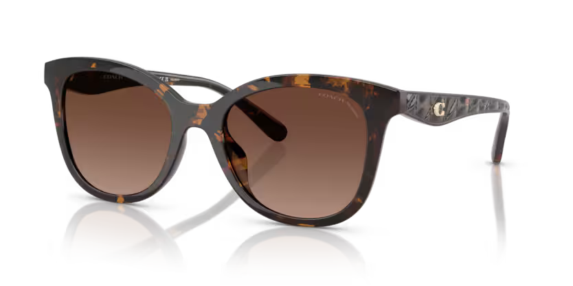 COACH HC8419U Sunglass online in India – branded UV protection shades