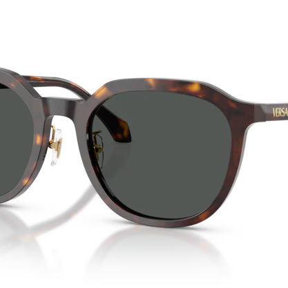 VERSACE VE4493D Sunglass