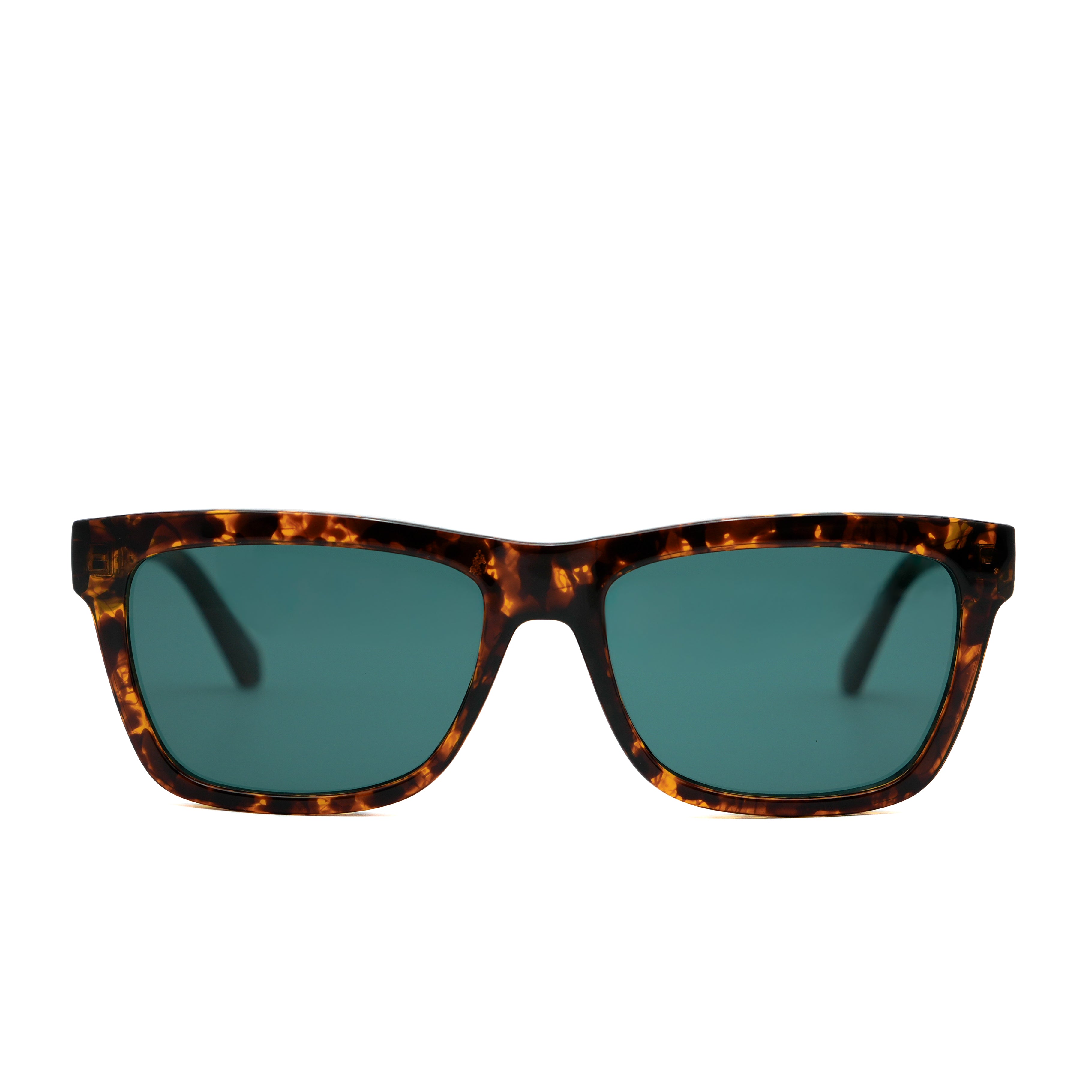 CALVIN KLEIN JEANS CKJ25623 Sunglass