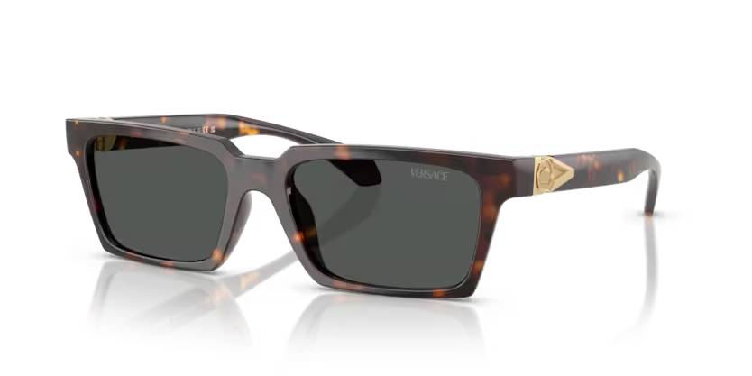 VERSACE VE4490U Sunglass