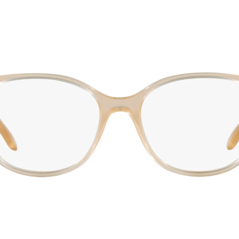 SWAROVSKI SK2002 Optical Frame