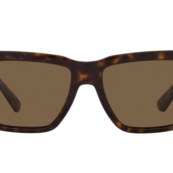 DOLCE & GABBANA DG4431 Sunglass