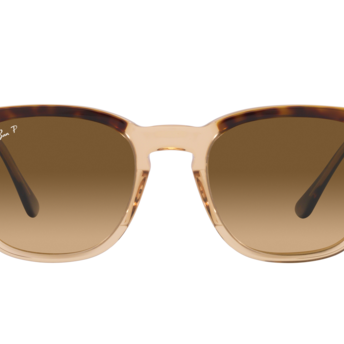 RAY-BAN RB2298 Sunglass | High end fashion sunglasses | SpecsBunker India – branded sunglasses in India