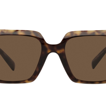 VERSACE VE4405 Sunglass | High end fashion sunglasses | SpecsBunker India – branded sunglasses in India