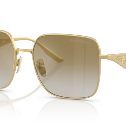 DOLCE & GABBANA DG2310 Sunglass