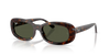 RAY-BAN RB2221 Sunglass