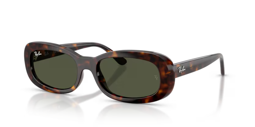 RAY-BAN RB2221 Sunglass