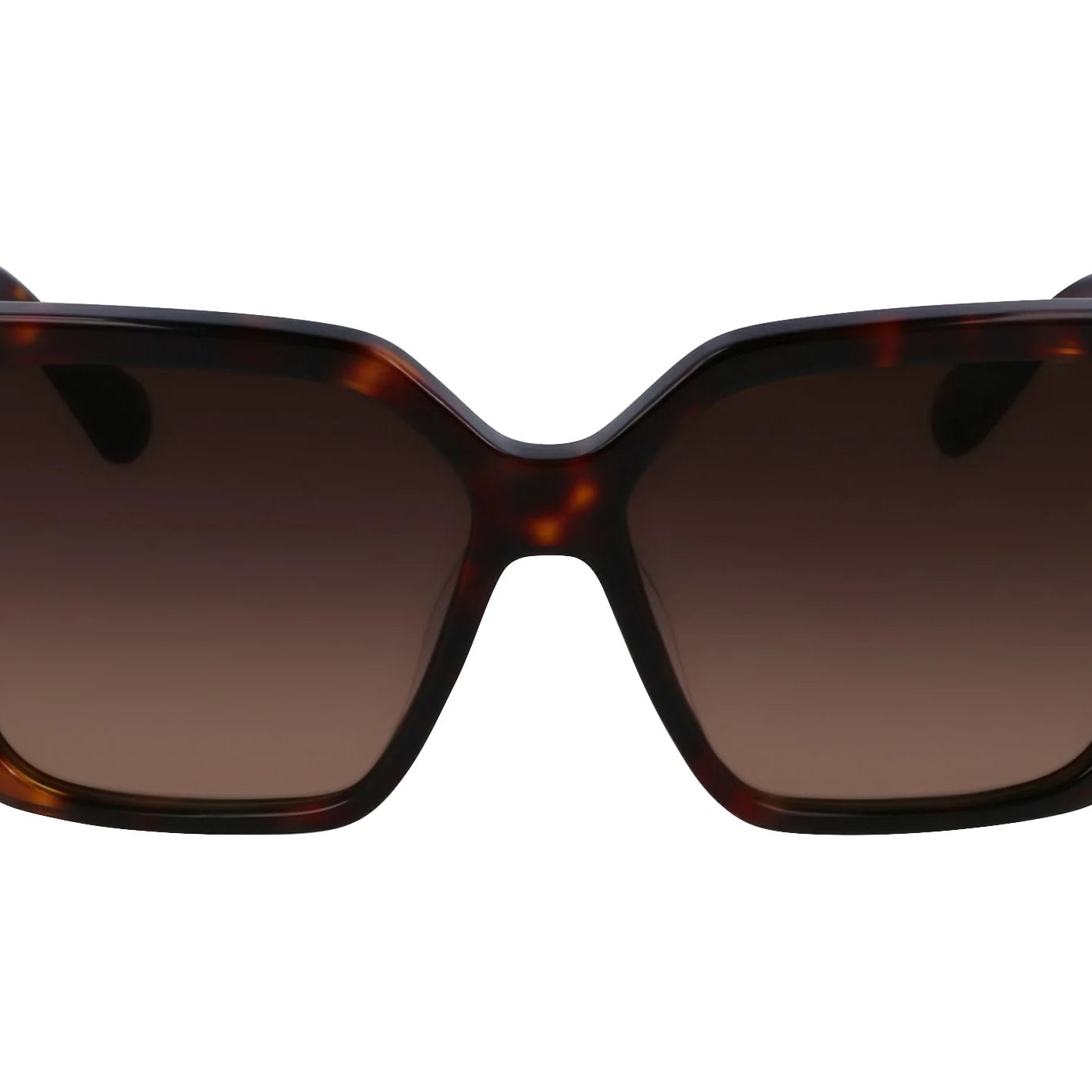 FERRAGAMO SF1106 Sunglass