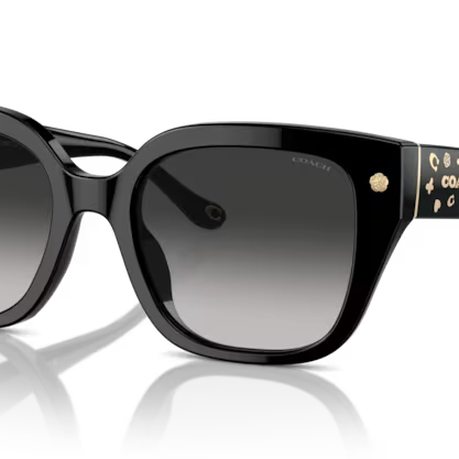 COACH HC8392U Sunglass online in India – premium sunglasses for men and women