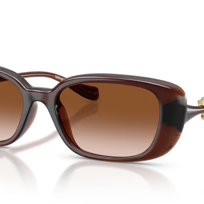 VERSACE VE4504D Sunglass