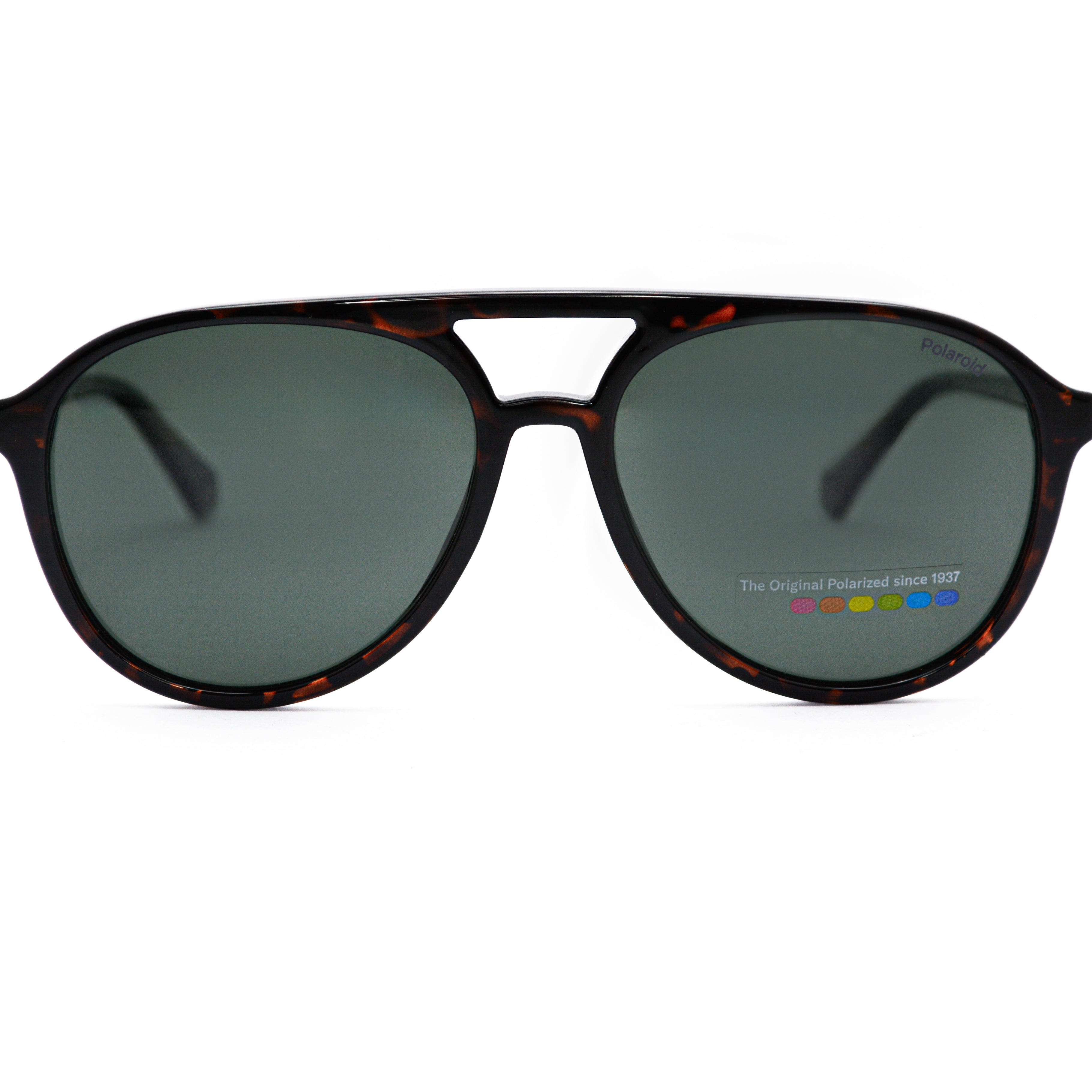 POLORIOD PLD 4162/S Sunglass | High end optical frames | SpecsBunker India – branded eyeglasses in India