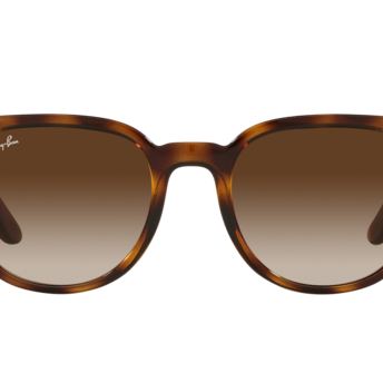RAY-BAN RB4381I Sunglass