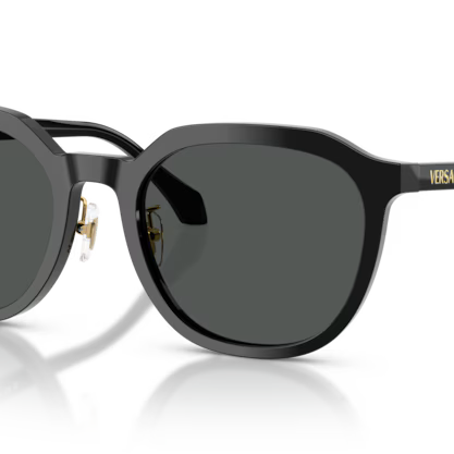 VERSACE VE4493D Sunglass