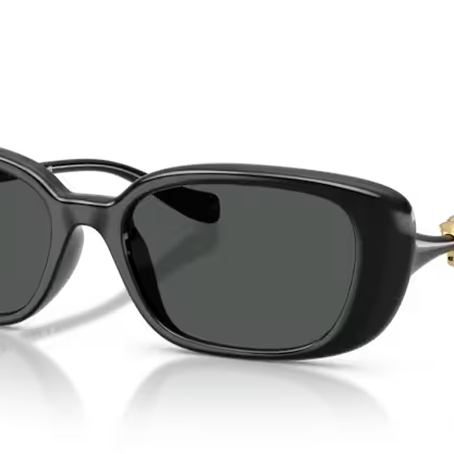VERSACE VE4504D Sunglass