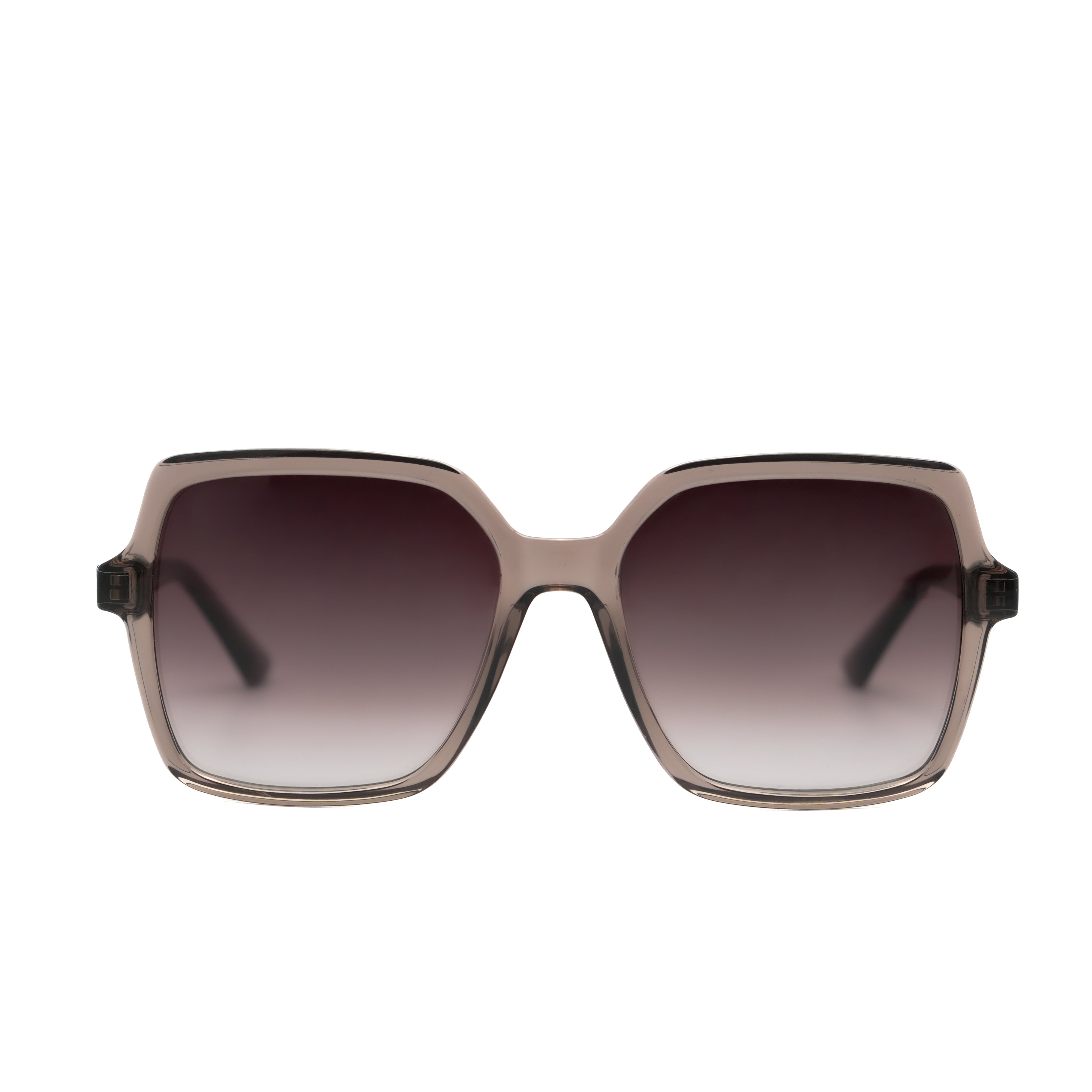 CALVIN KLEIN CK25537 Sunglass
