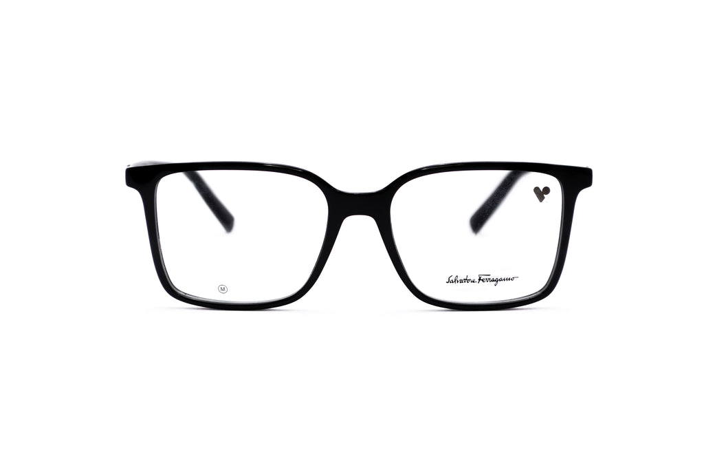 FERRAGAMO SF2954 Optical Frame