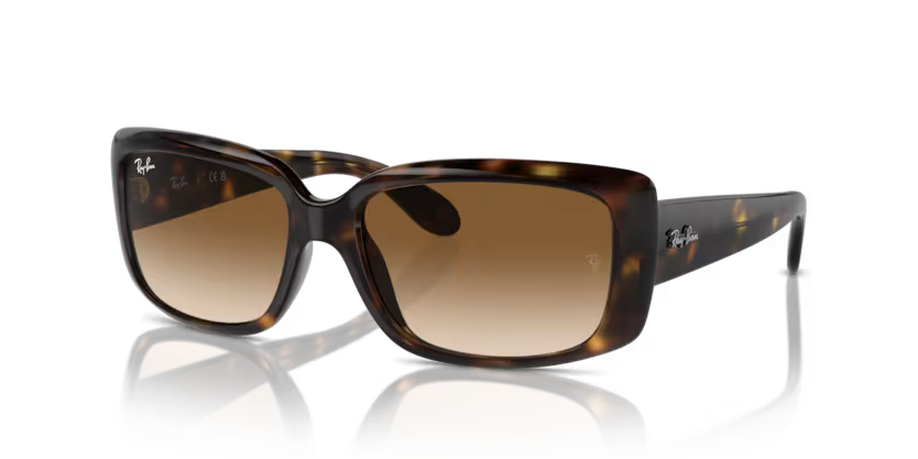 RAY-BAN RB4389 Sunglass