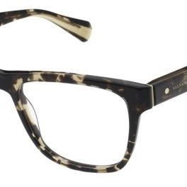 ALL SAINTS ALS1020 Optical Frame online in India – designer optical eyewear