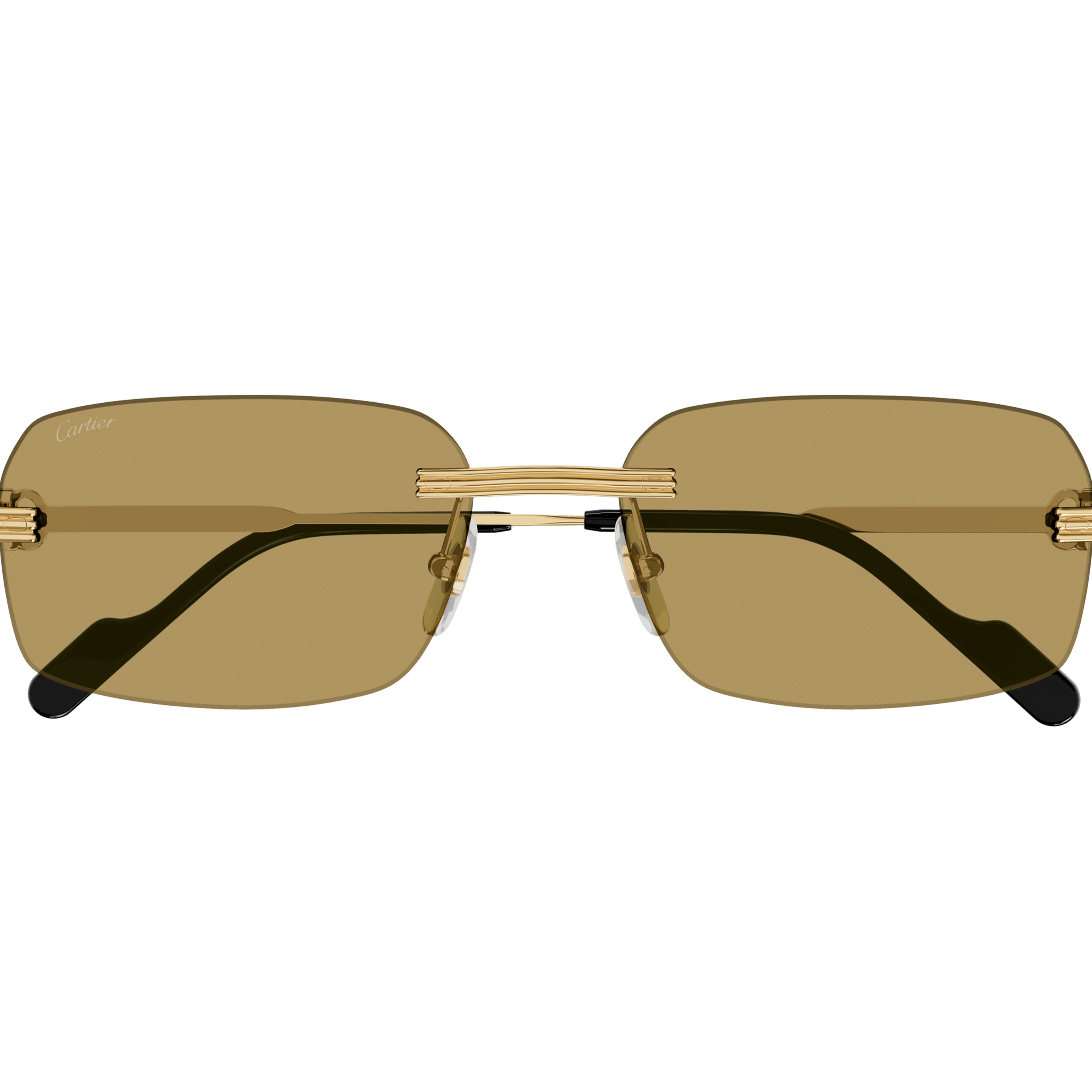 CARTIER CT0271S Sunglass