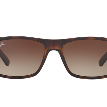 RAY-BAN RB4205I Sunglass | Designer sunglasses for men and women | SpecsBunker India – premium sunglasses collection