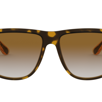 RAY-BAN RB4147 Sunglass | Designer eyeglasses for men and women | SpecsBunker India – premium optical frames collection