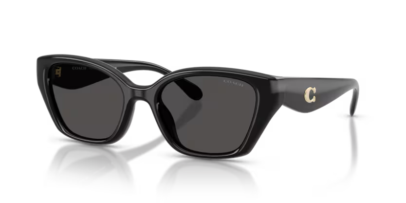 COACH HC8434U Sunglass online in India – premium sunglasses for men and women