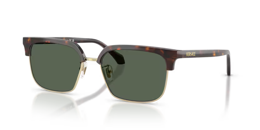 VERSACE VE4494D Sunglass