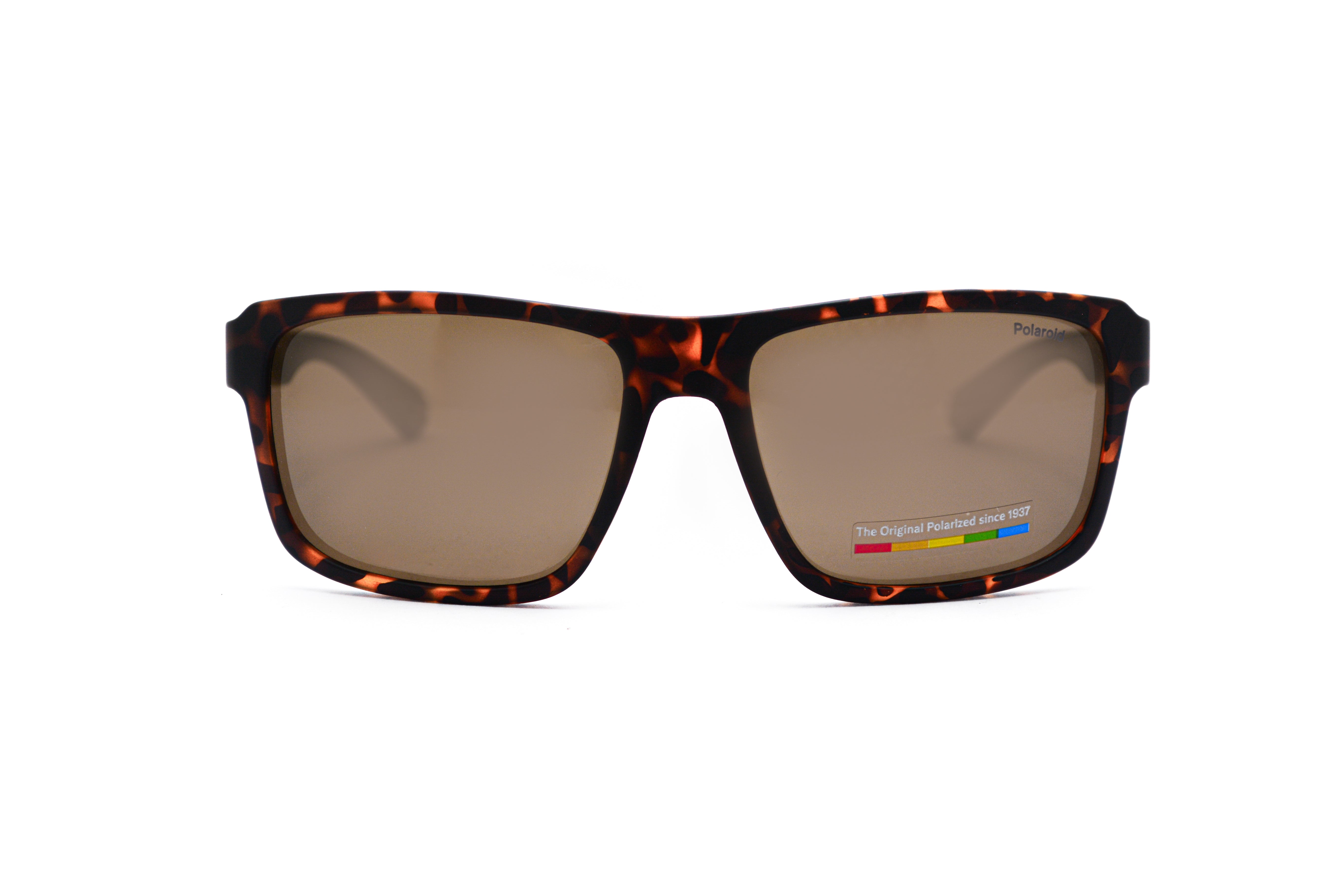 POLAROID PLD 2158/S Sunglass online in India – premium sunglasses for men and women
