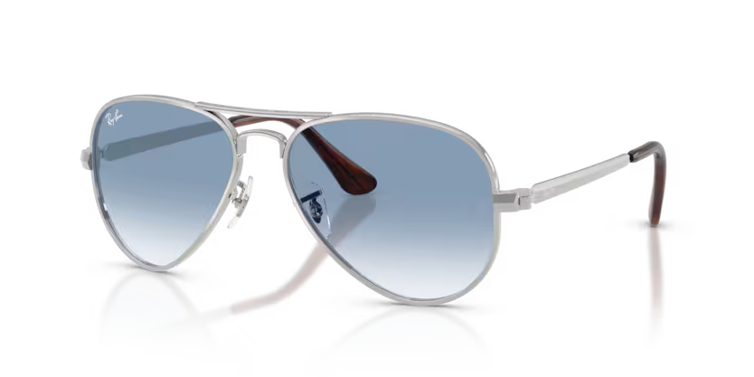 RAY-BAN RB3925 Sunglass