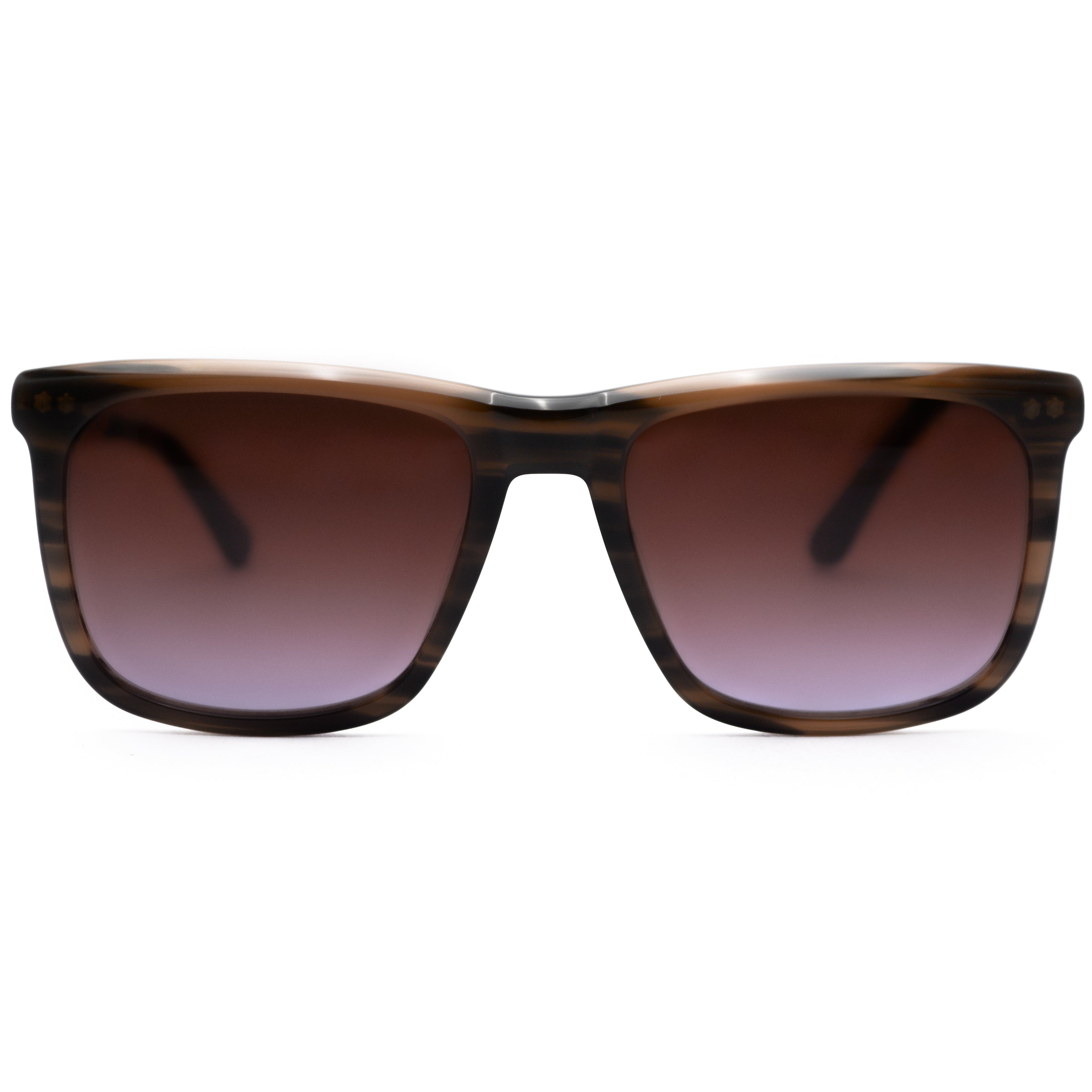 CALVIN KLEIN CK22536S Sunglass online in India | premium sunglasses for men and women
