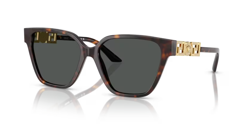 VERSACE VE4471B Sunglass