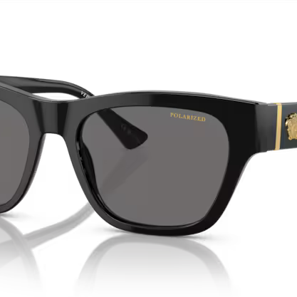 VERSACE VE4457 Sunglass