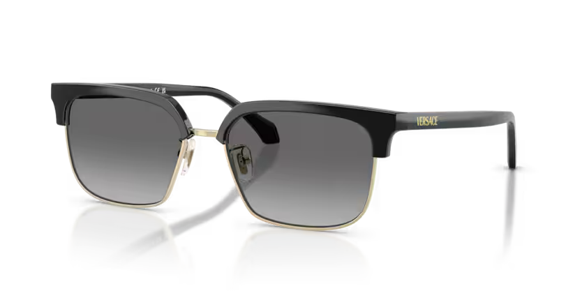 VERSACE VE4494D Sunglass
