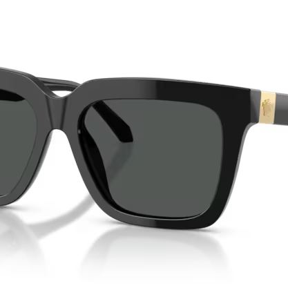 VERSACE VE4498 Sunglass