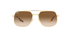 RAY-BAN RB3699 Sunglass online in India – premium sunglasses for men and women