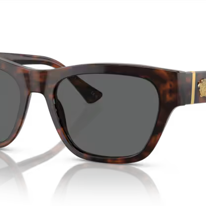 VERSACE VE4457 Sunglass