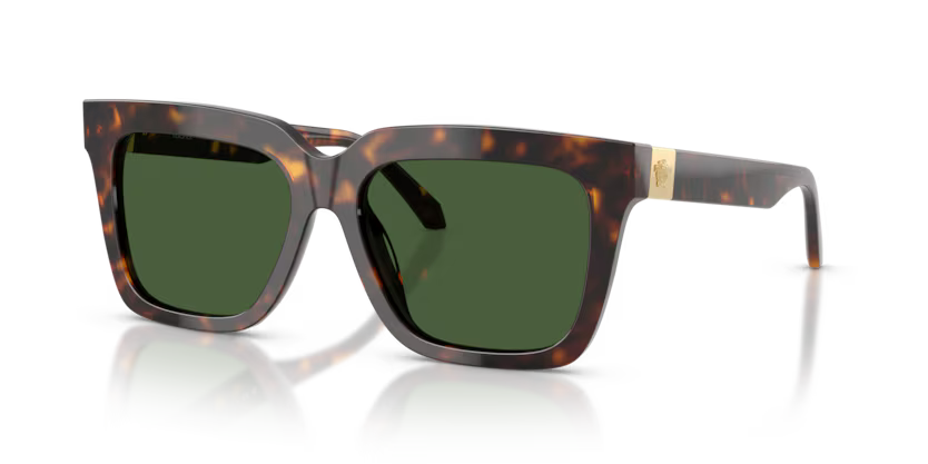 VERSACE VE4498 Sunglass