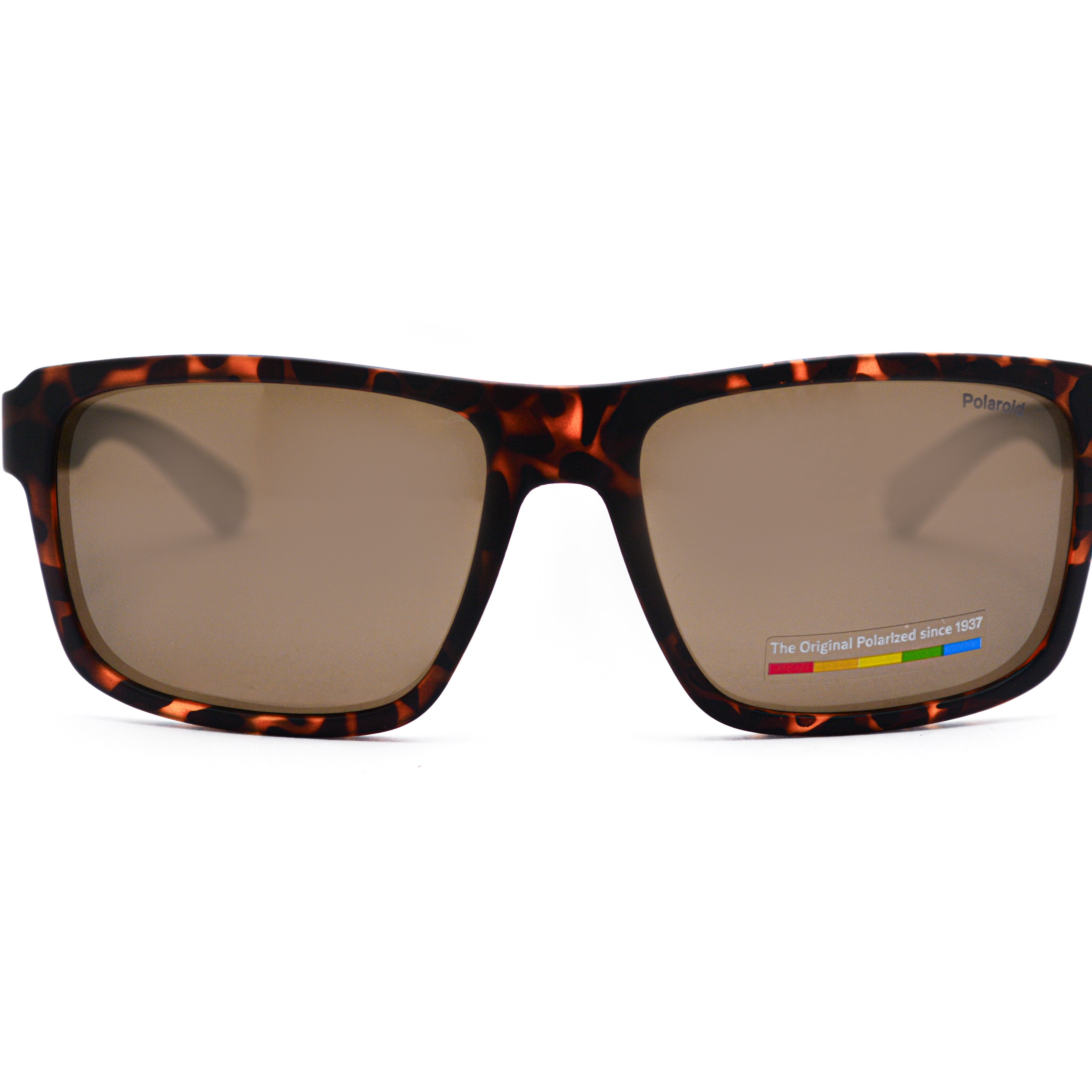 POLORIOD PLD 2158/S Sunglass | Designer eyeglasses for men and women | SpecsBunker India – premium optical frames collection