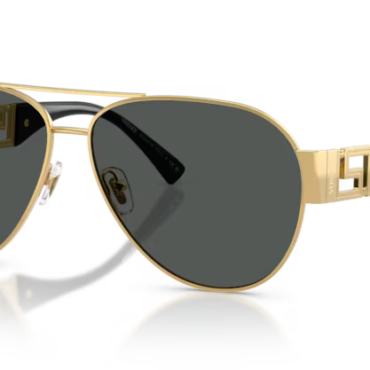 VERSACE VE2289 Sunglass