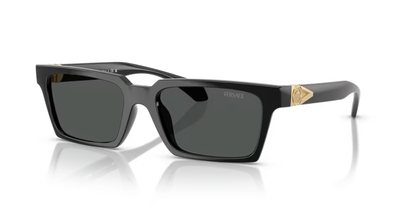 VERSACE VE4490U Sunglass