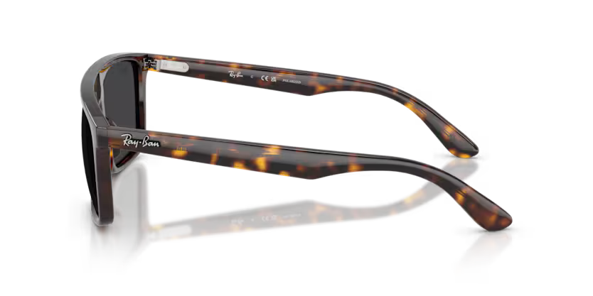 RAY-BAN RB2222 Sunglass