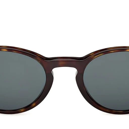 TOM FORD TOM FORD TF1331 Sunglass havana round/oval/panthos sunglass for Men