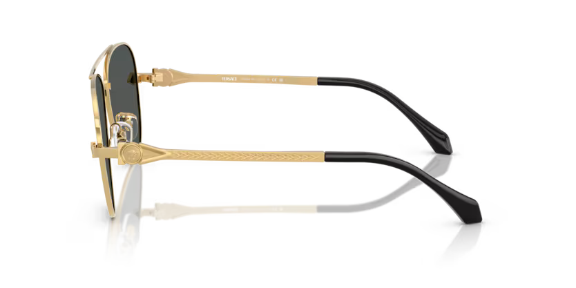 VERSACE VE2283 Sunglass