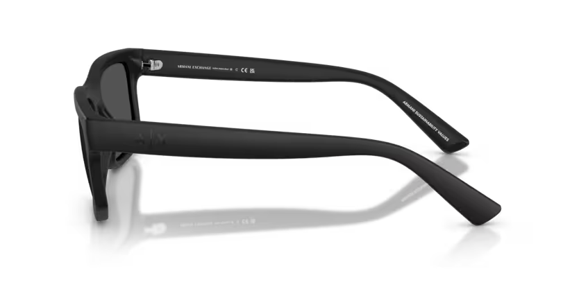 ARMANI EXCHANGE AX4165S Sunglass online in India – branded UV protection shades