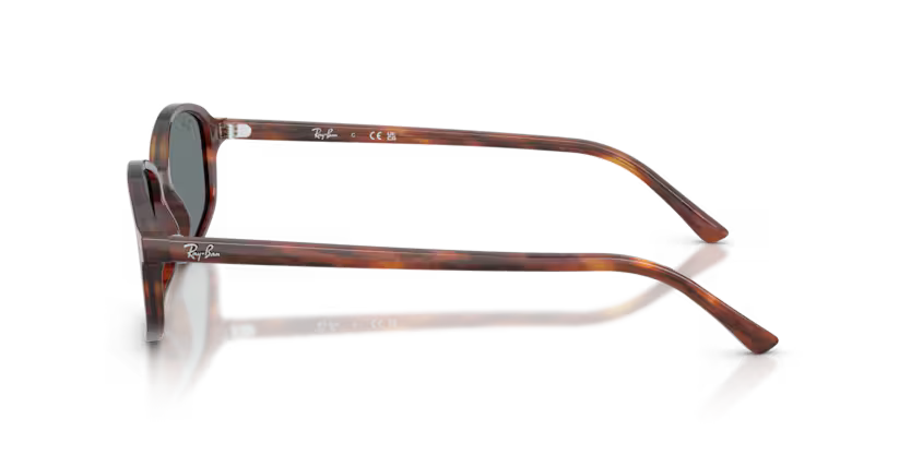 RAY-BAN RB2232 Sunglass